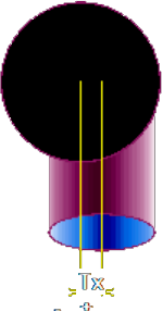 Injerto Top/Bop Cota X